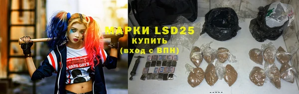гидра Новодвинск