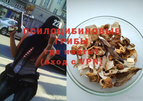 гидра Новодвинск