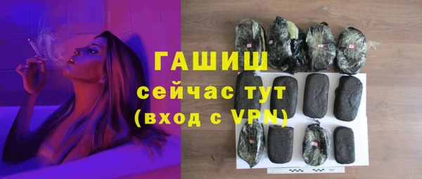 гидра Новодвинск