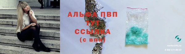 дмт Новозыбков