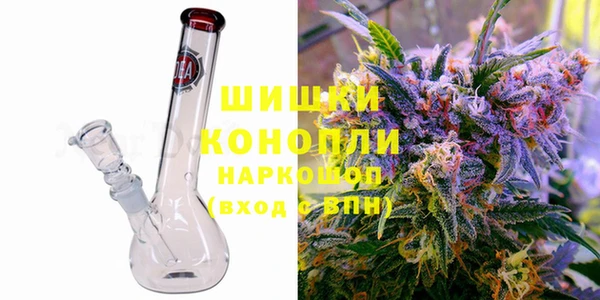 гидра Новодвинск