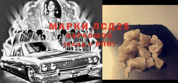 гидра Новодвинск
