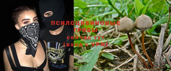 спайс Новокубанск