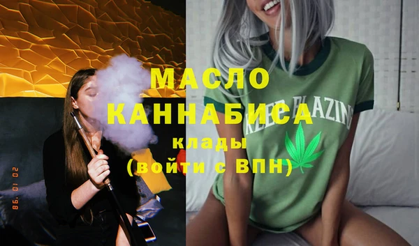 дмт Новозыбков