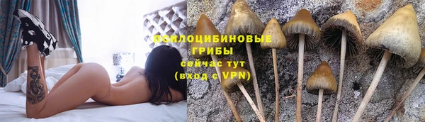 дмт Новозыбков