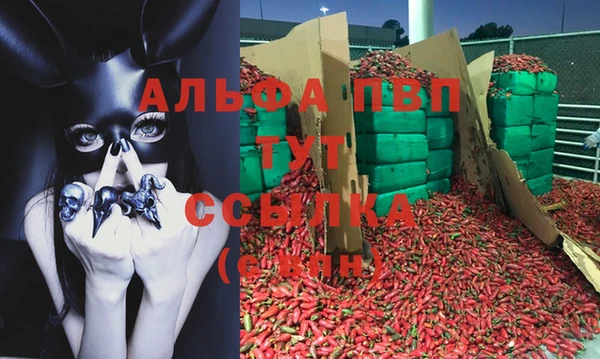 дмт Новозыбков