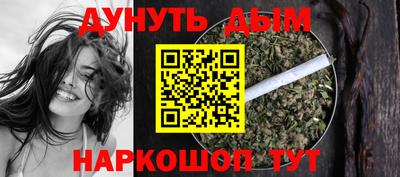 индика Заводоуковск