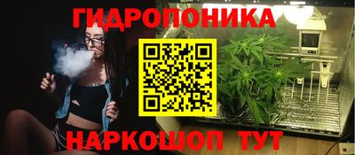 индика Заводоуковск