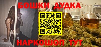 индика Заводоуковск