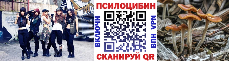 Псилоцибиновые грибы ЛСД  Партизанск 