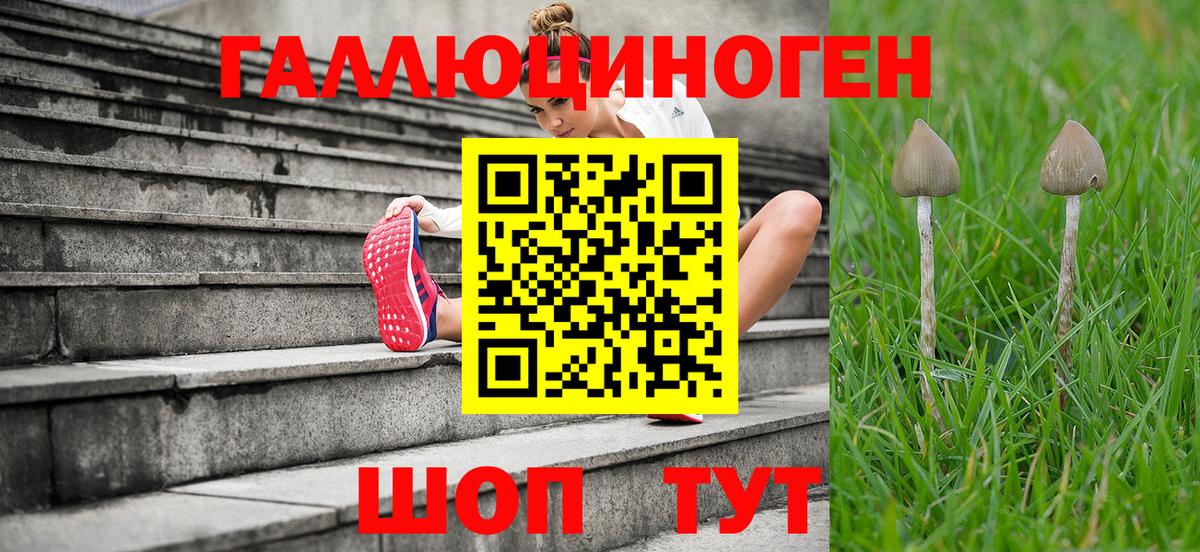 Псилоцибиновые грибы Magic Shrooms Партизанск