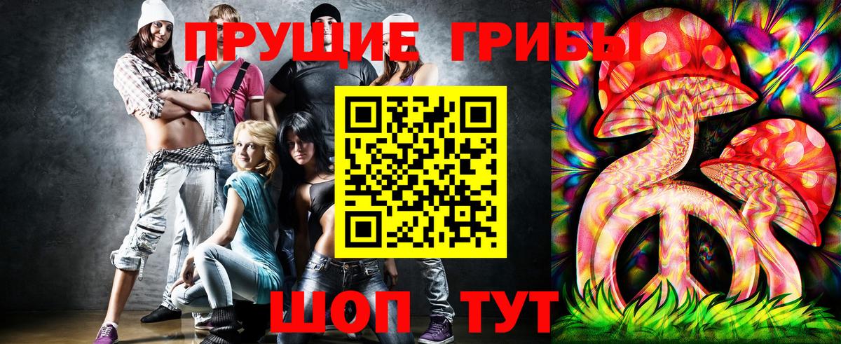 Партизанск  Галлюциногенные грибы Cubensis  Вход с VPN 